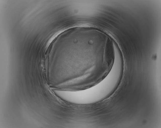 X0000113631481200910021840