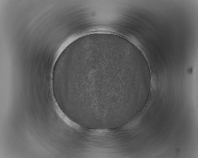 X0000113631482200910021840