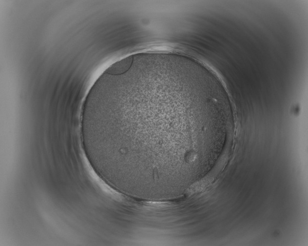 X0000113631483200910021840