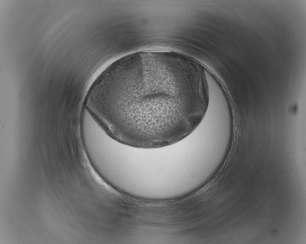 X0000113631484200910021840
