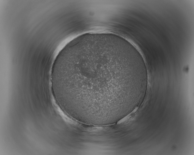 X0000113631485200910021840