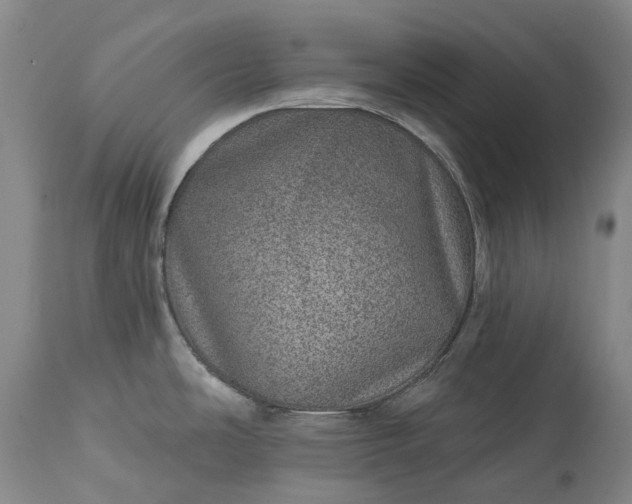 X0000113631486200910021840