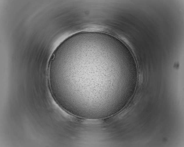 X0000113631487200910021840