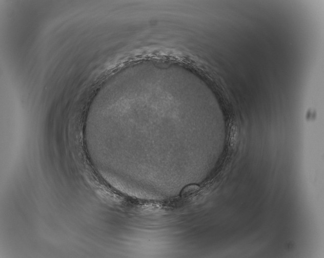 X0000113631489200910021839