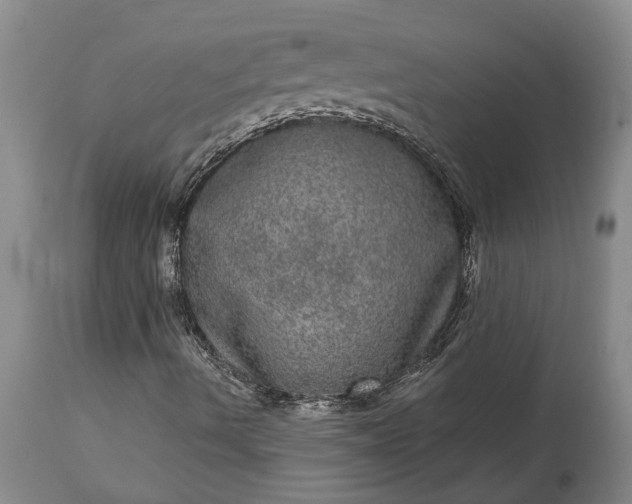 X0000113631490200910021840