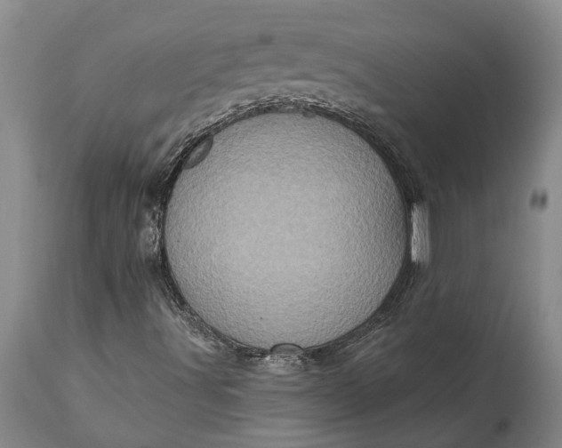 X0000113631491200910021840