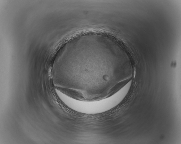 X0000113631492200910021840