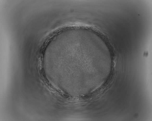 X0000113631493200910021840