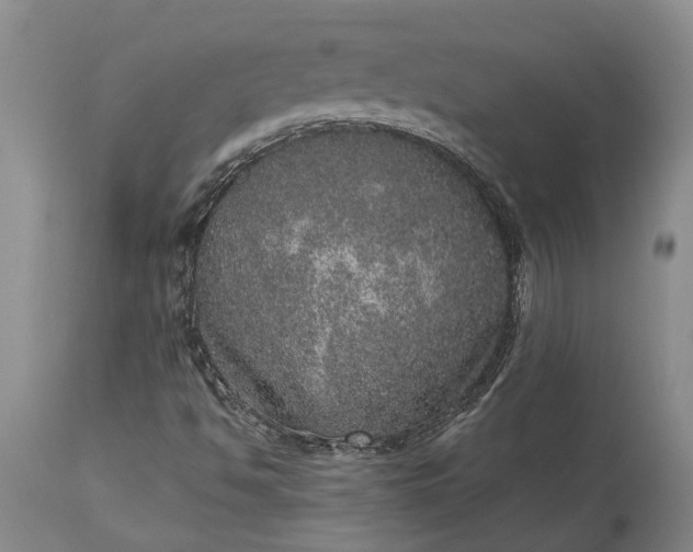 X0000113631494200910021840