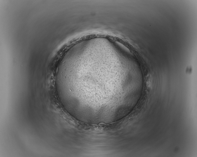 X0000113631495200910021840