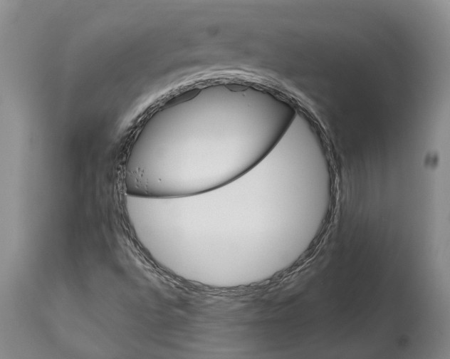 X0000113631496200910021840
