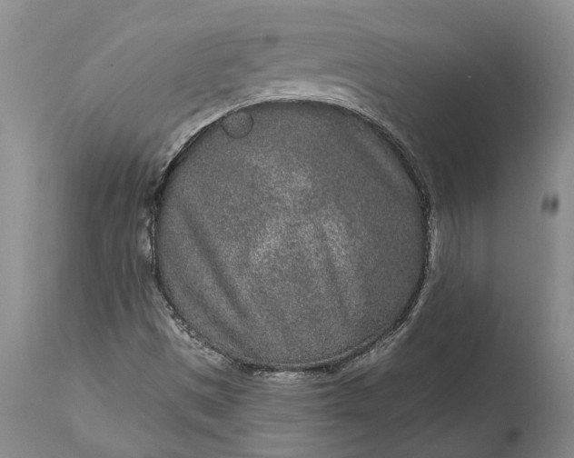 X0000113631497200910021840