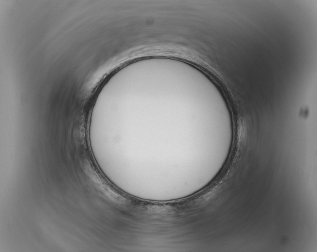 X0000113631498200910021840