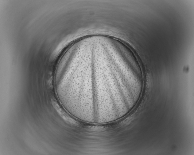 X0000113631499200910021840