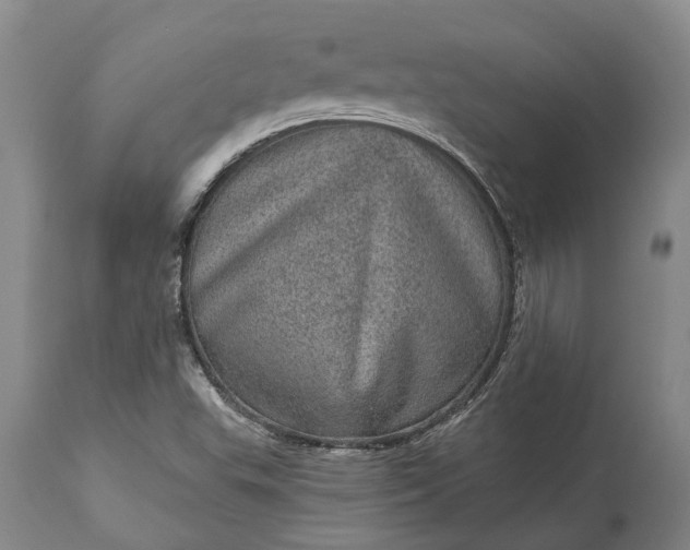 X0000113631503200910021840