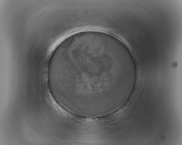 X0000113631504200910021840