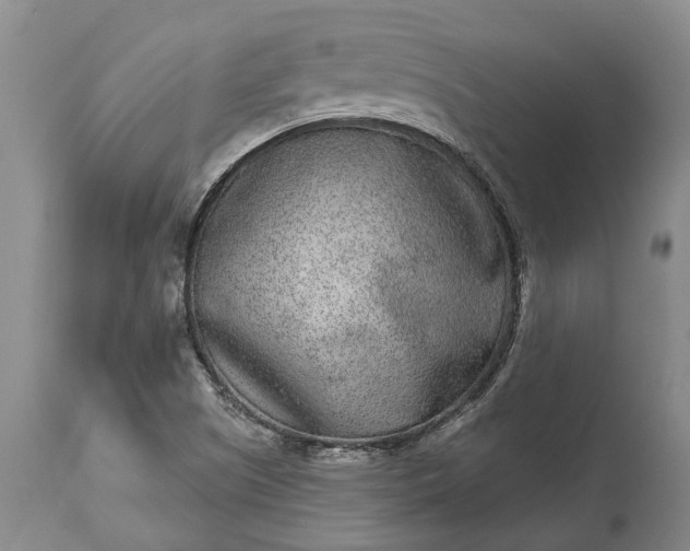 X0000113631505200910021840