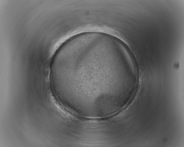 X0000113631507200910021840