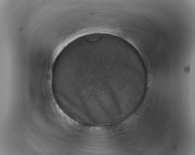 X0000113631508200910021840