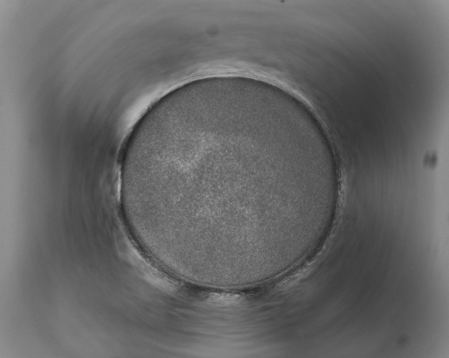 X0000113631509200910021840