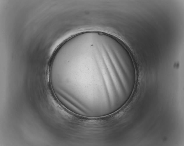 X0000113631510200910021840