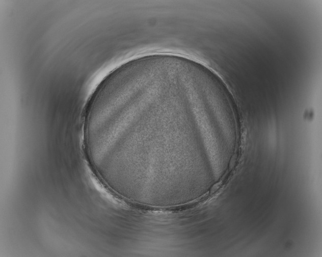 X0000113631511200910021840