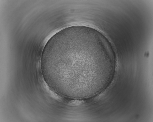 X0000113631513200910021840