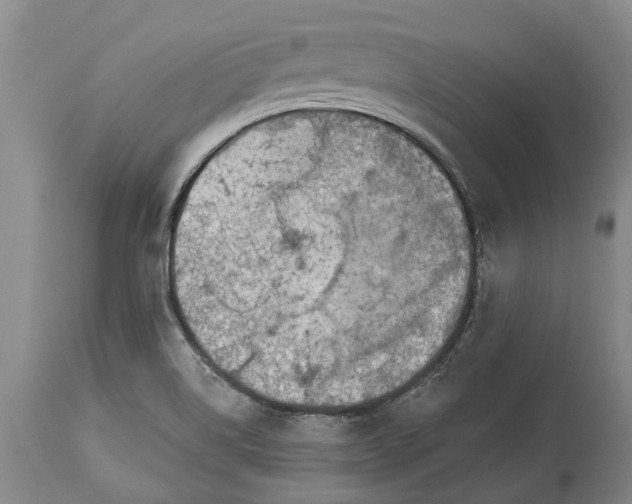 X0000113631514200910021840