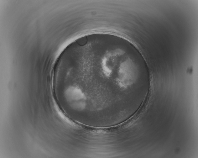 X0000113631515200910021840