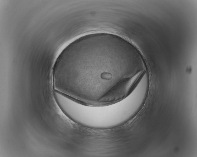 X0000113631516200910021840