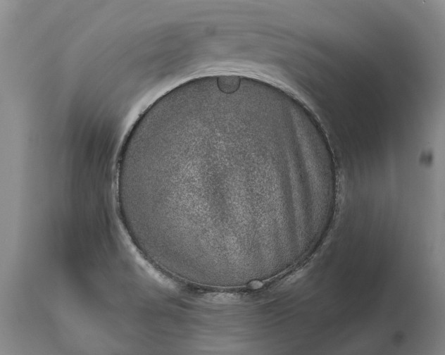 X0000113631517200910021840