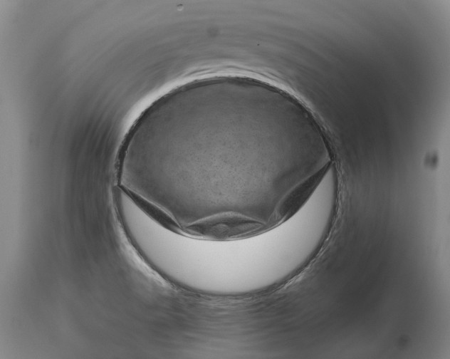 X0000113631518200910021840