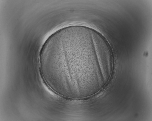 X0000113631519200910021840