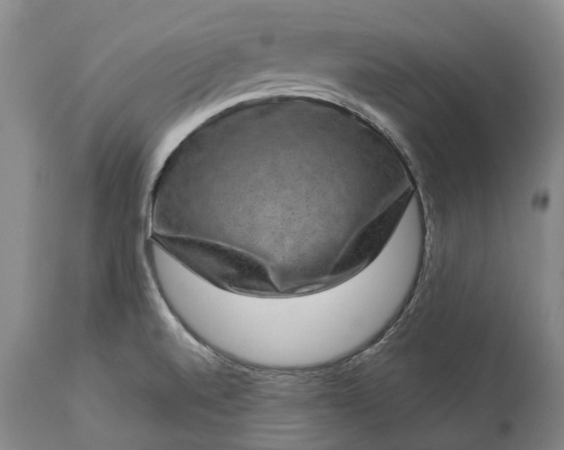 X0000113631520200910021840