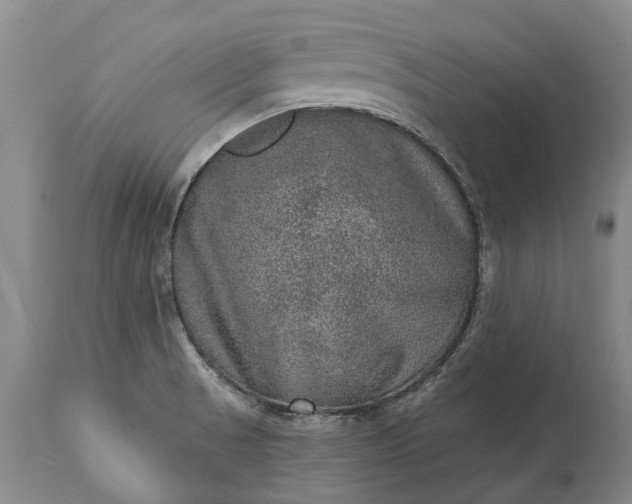 X0000113631521200910021840