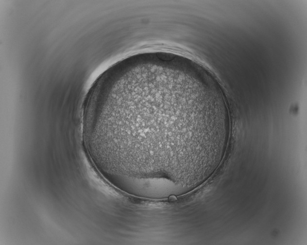 X0000113631522200910021840