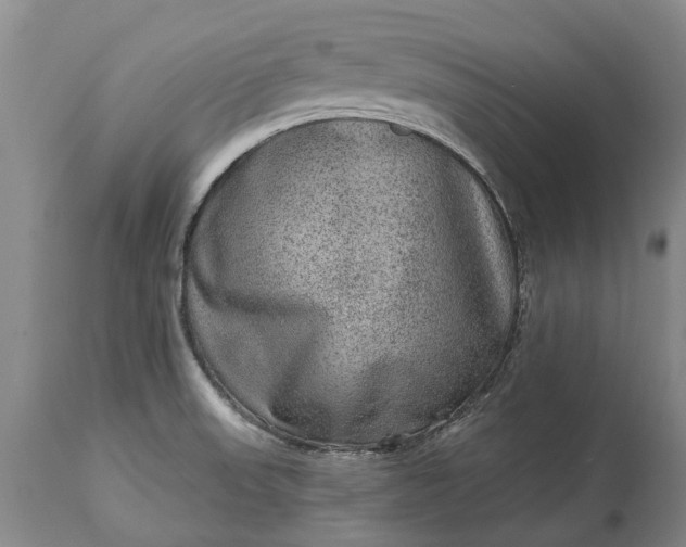 X0000113631523200910021840