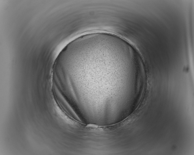X0000113631524200910021840