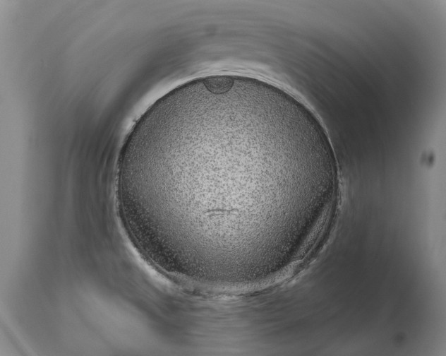 X0000113631525200910021840