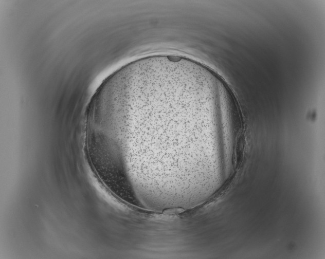 X0000113631526200910021840