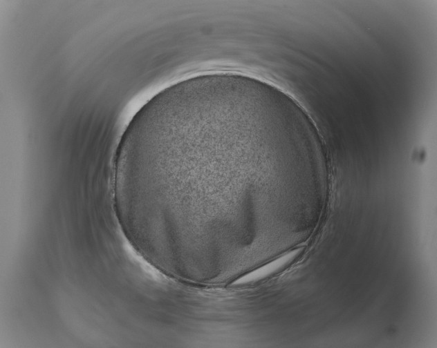 X0000113631527200910021840