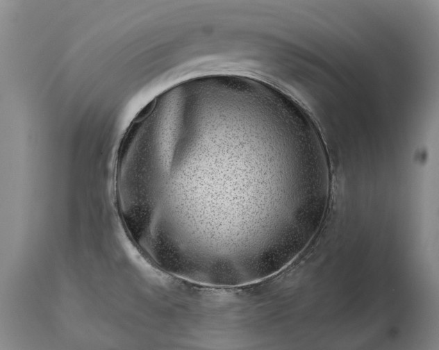 X0000113631528200910021840
