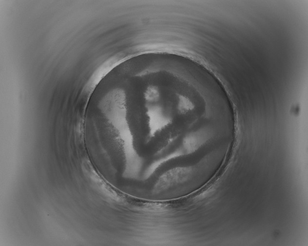 X0000113631529200910021840