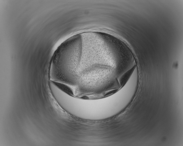 X0000113631530200910021840