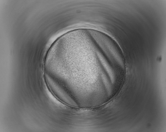 X0000113631531200910021840