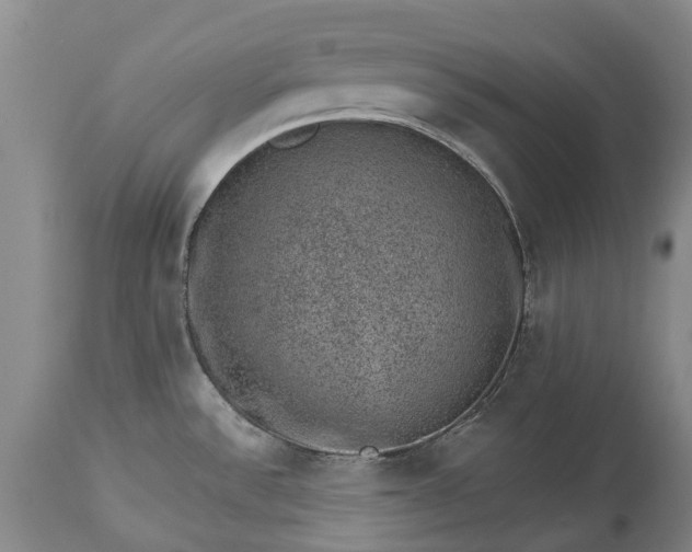 X0000113631532200910021840