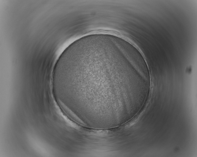 X0000113631533200910021840