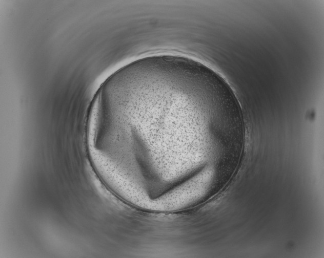 X0000113631534200910021840