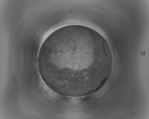 X0000113631536200910021840