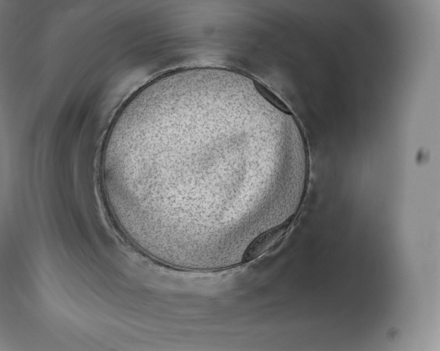 X0000113630001200910091606